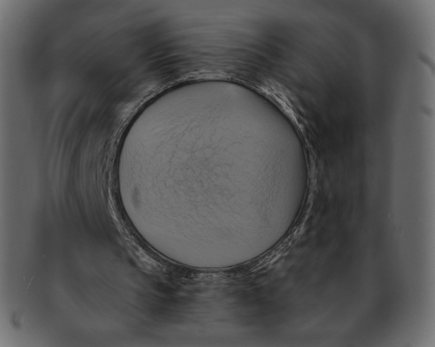 X0000091910145200710031025