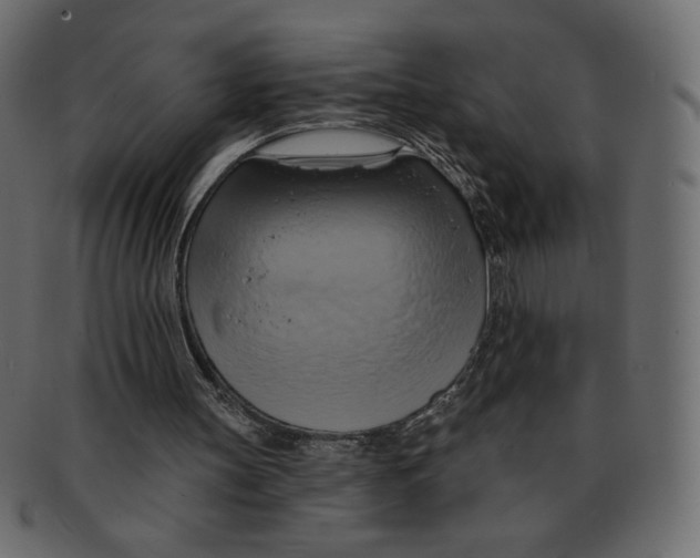 X0000091910147200710031025