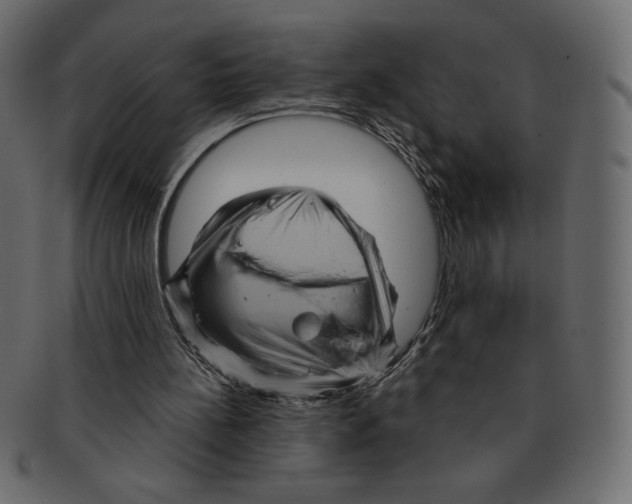 X0000091910148200710031025