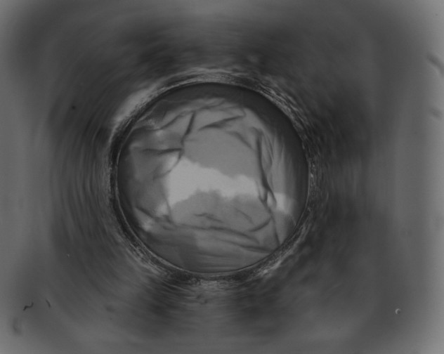 X0000091910149200710031025