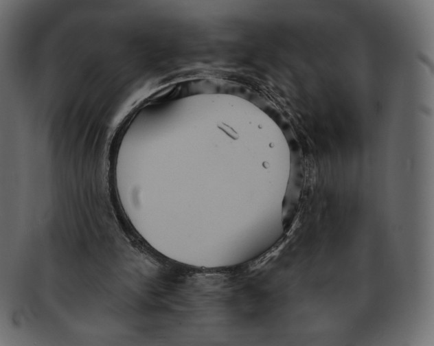 X0000091910150200710031025