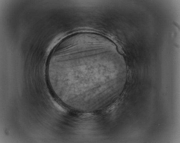 X0000091910151200710031025