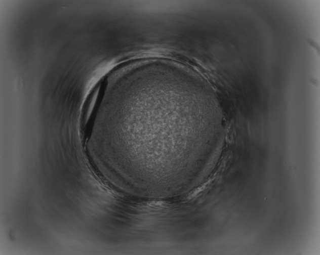 X0000091910152200710031025