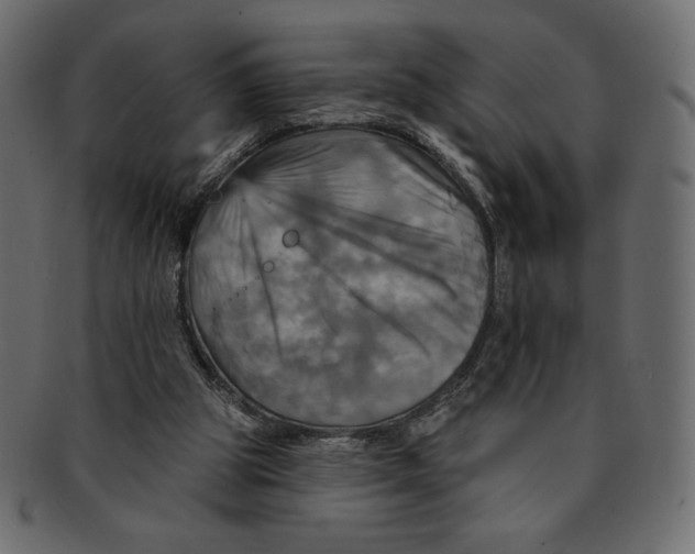 X0000091910153200710031025