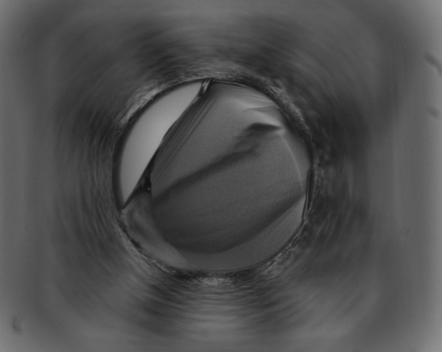 X0000091910154200710031025