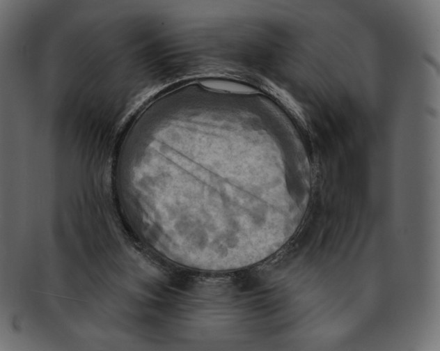 X0000091910155200710031026