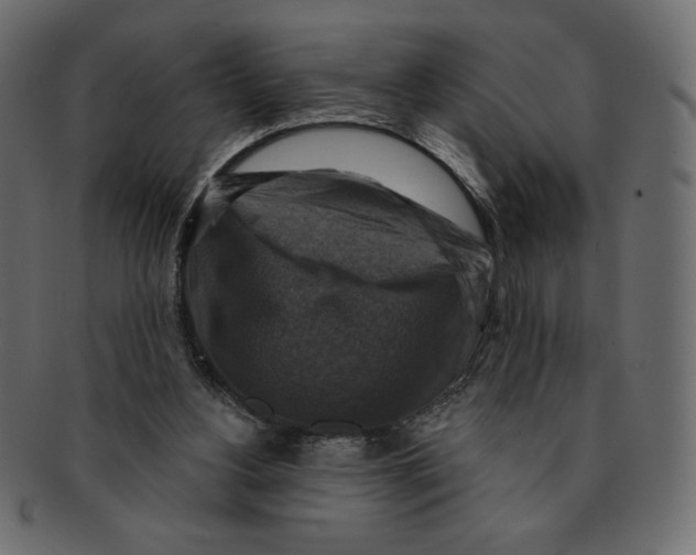 X0000091910156200710031026