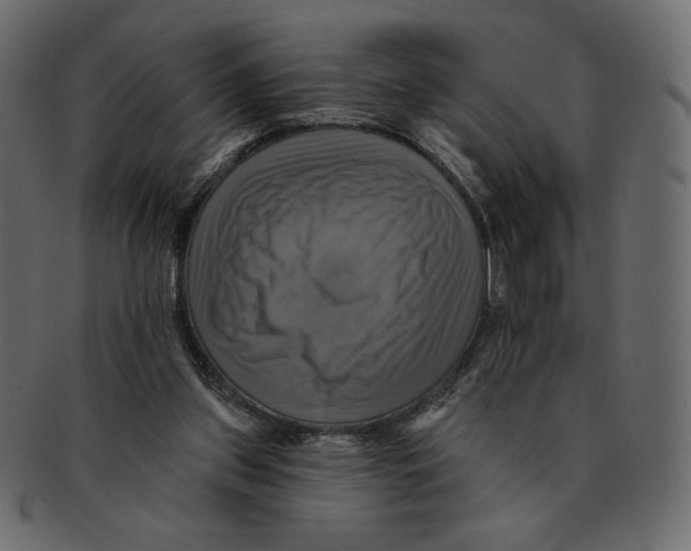 X0000091910157200710031026