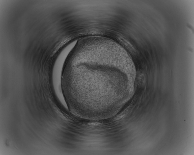 X0000091910158200710031026