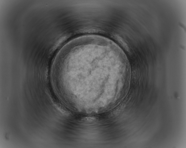 X0000091910159200710031026