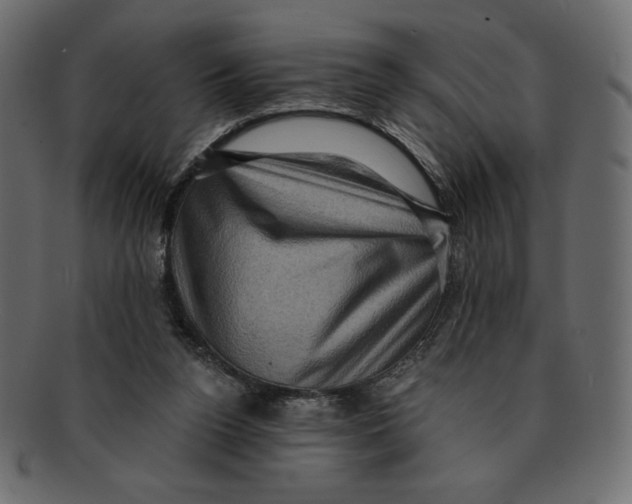 X0000091910160200710031026