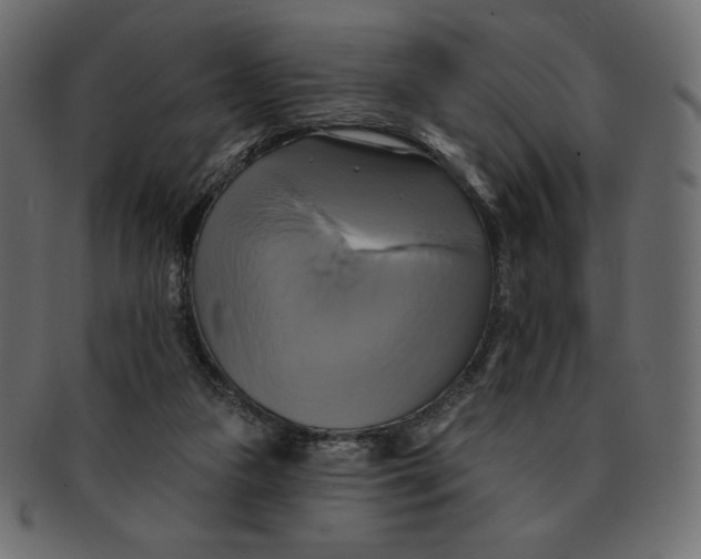 X0000091910161200710031026