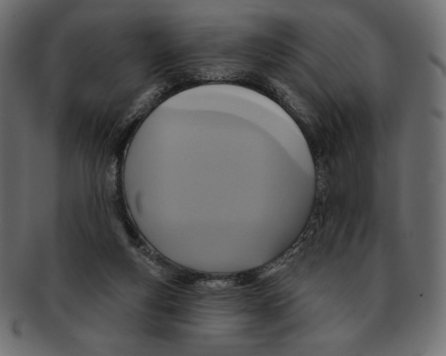 X0000091910163200710031026