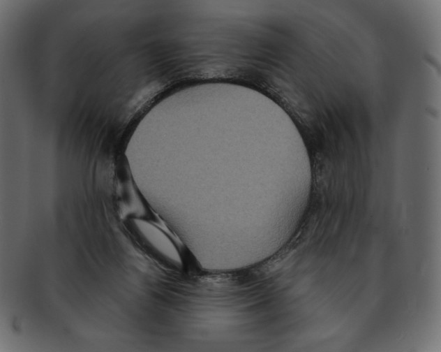 X0000091910164200710031026