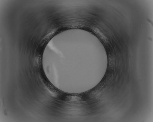 X0000091910165200710031026