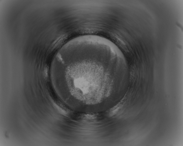 X0000091910166200710031026