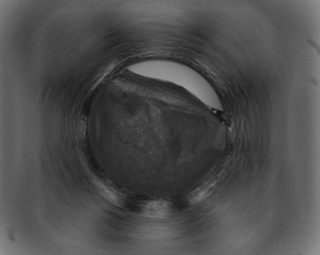 X0000091910168200710031026