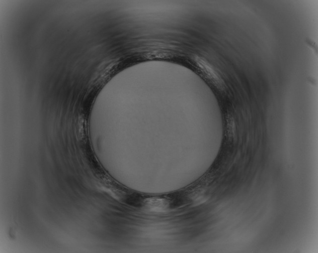 X0000091910169200710031026