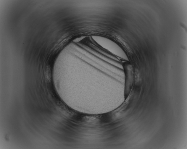 X0000091910170200710031026