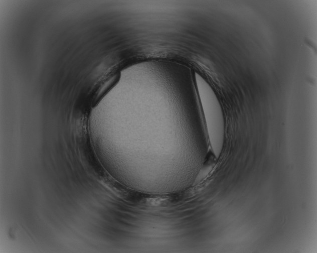 X0000091910172200710031026