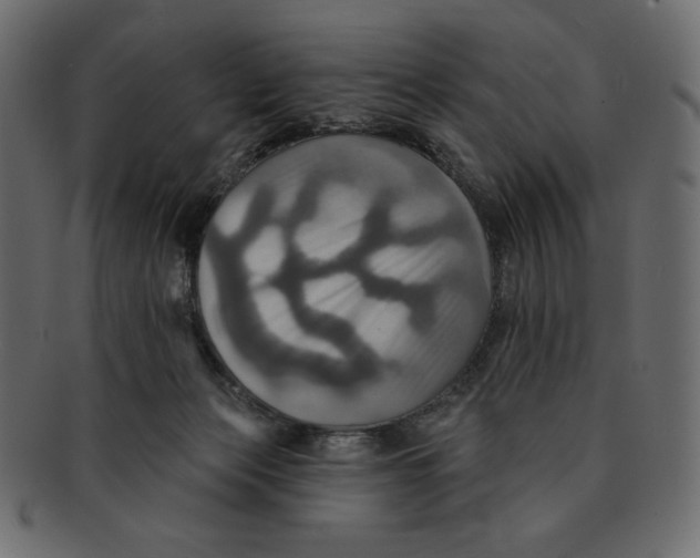 X0000091910173200710031026