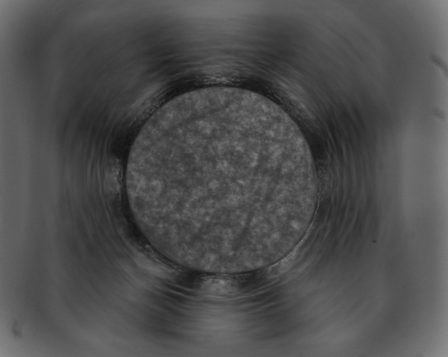 X0000091910174200710031026