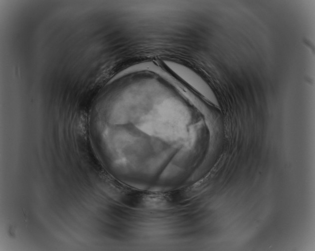 X0000091910175200710031026