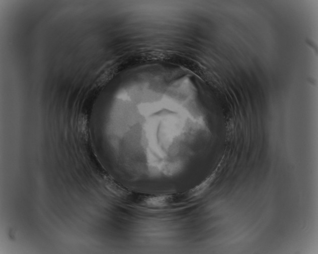 X0000091910178200710031026