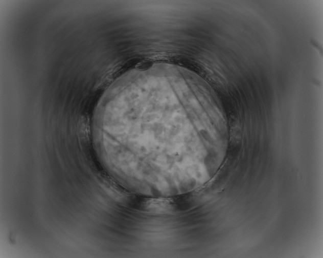 X0000091910179200710031026