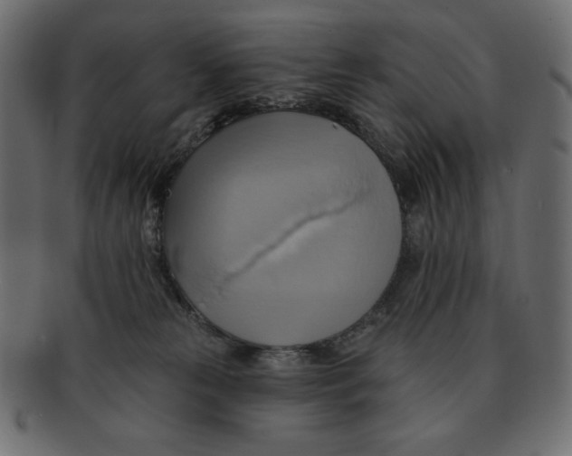 X0000091910181200710031026