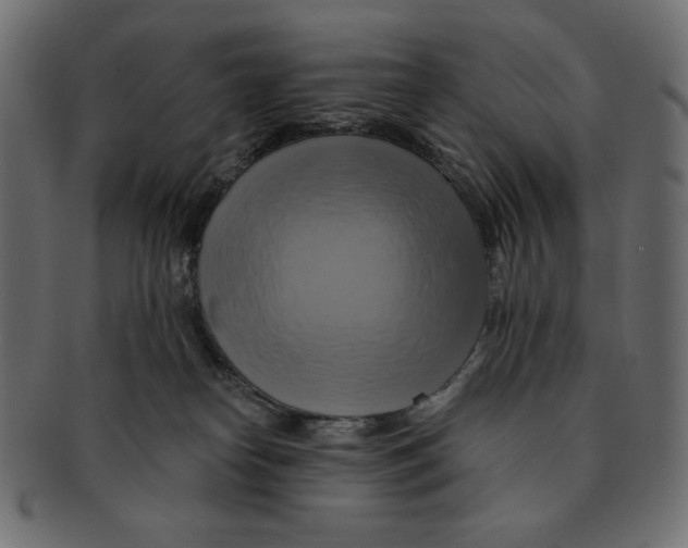 X0000091910182200710031026