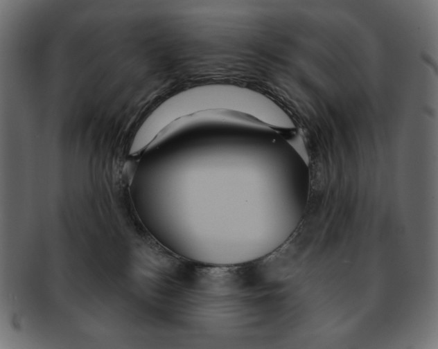 X0000091910184200710031026