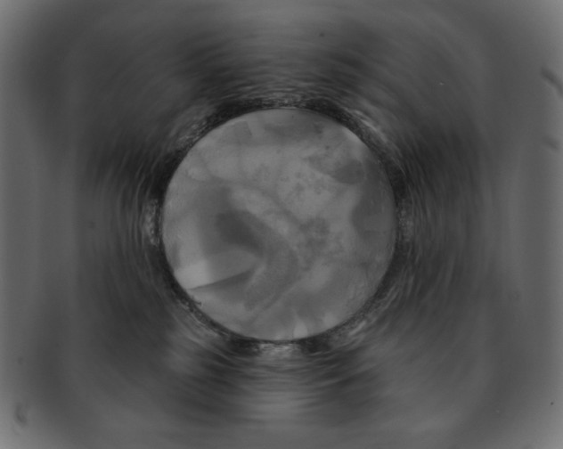 X0000091910185200710031026