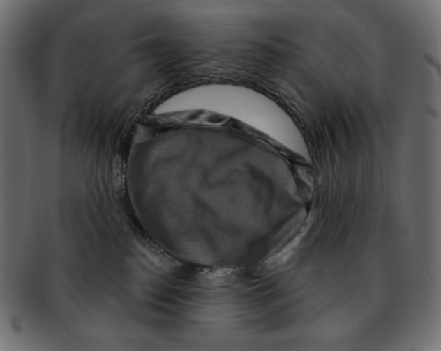 X0000091910186200710031026