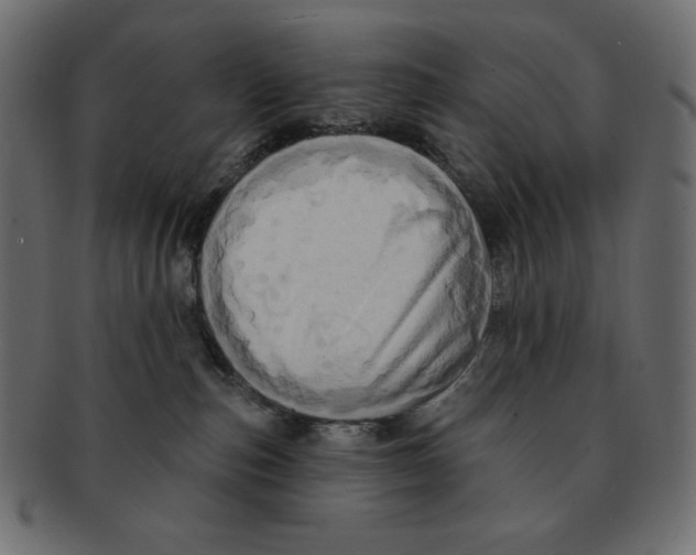 X0000091910187200710031026