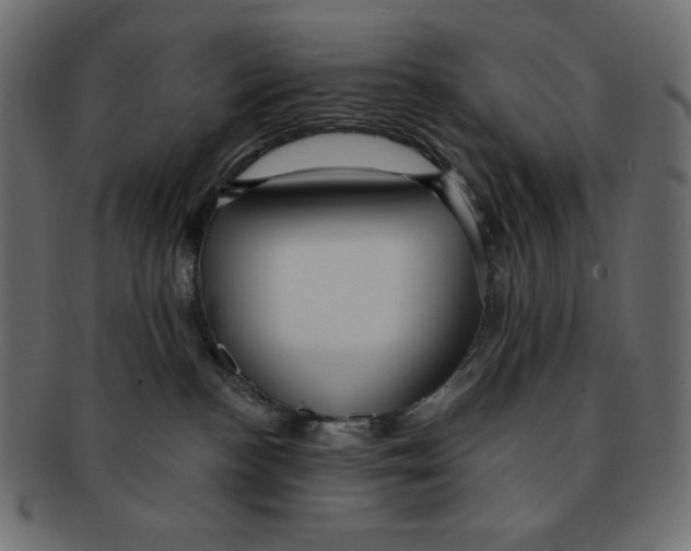 X0000091910188200710031026