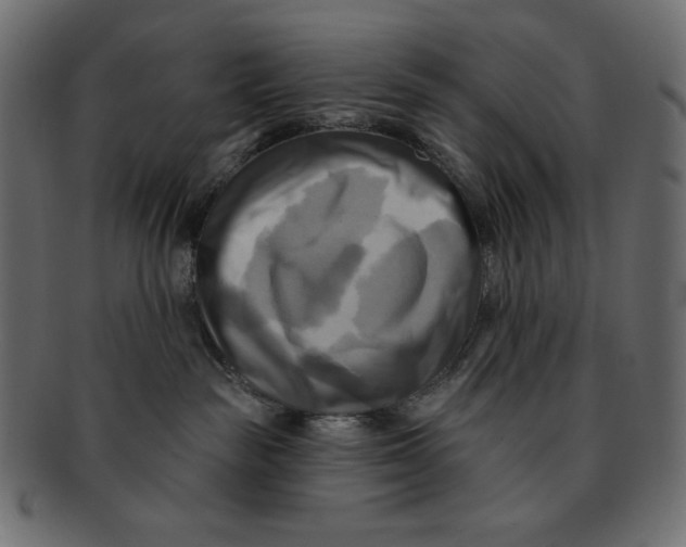 X0000091910189200710031026