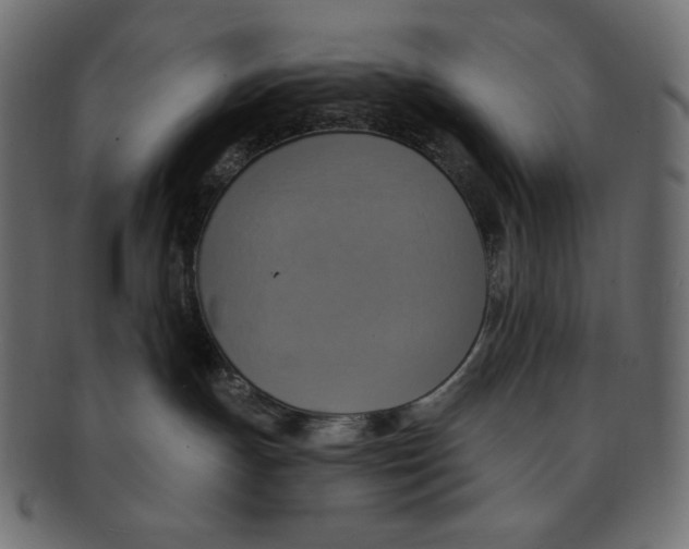 X0000091910191200710031026