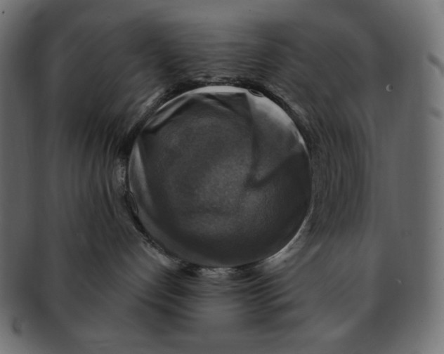 X0000091910192200710031026