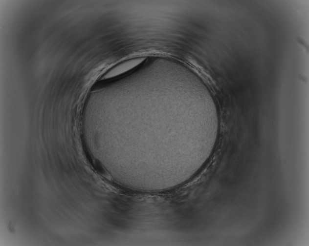 X0000091910193200710031025