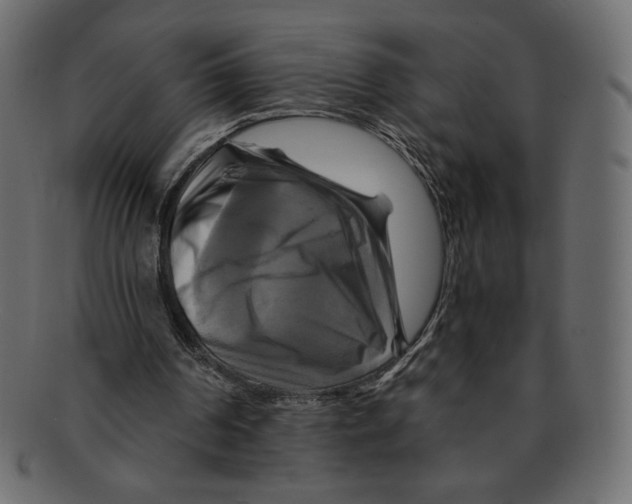 X0000091910194200710031025