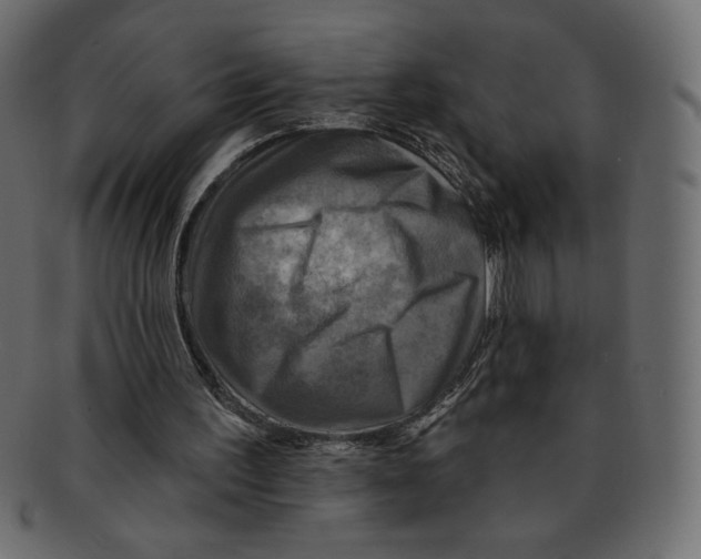 X0000091910195200710031025