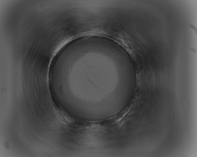 X0000091910196200710031025