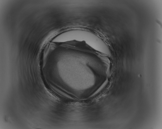 X0000091910197200710031025