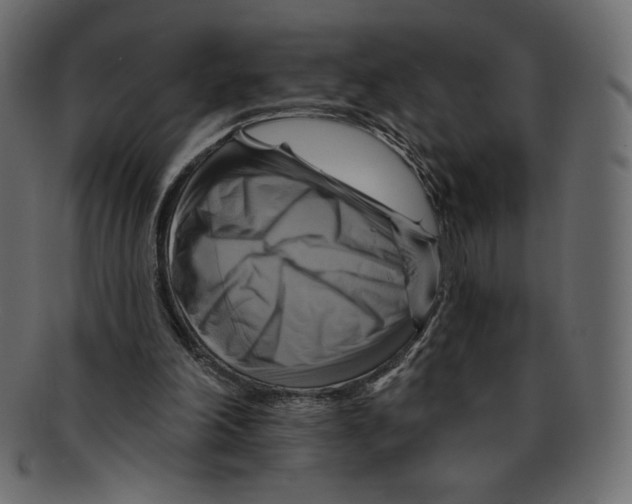 X0000091910198200710031025