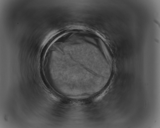 X0000091910199200710031025