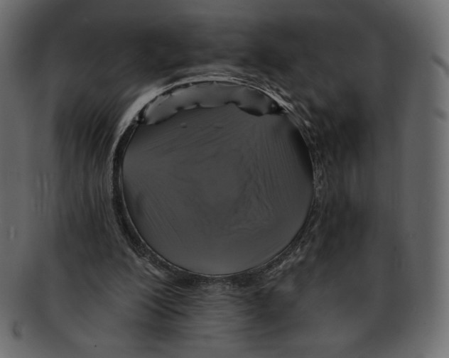 X0000091910200200710031025