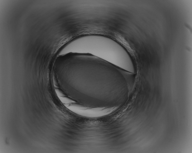 X0000091910202200710031025