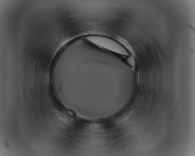 X0000091910204200710031025