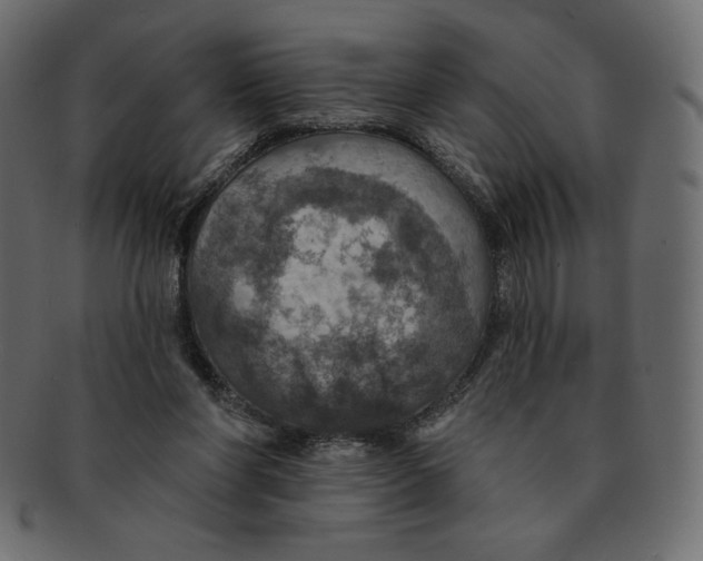 X0000091910206200710031025